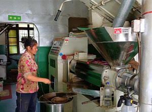 Paper Processing Industry